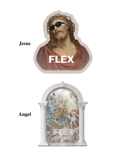 FLEX Sticker set