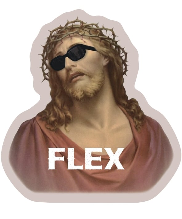 FLEX Sticker set