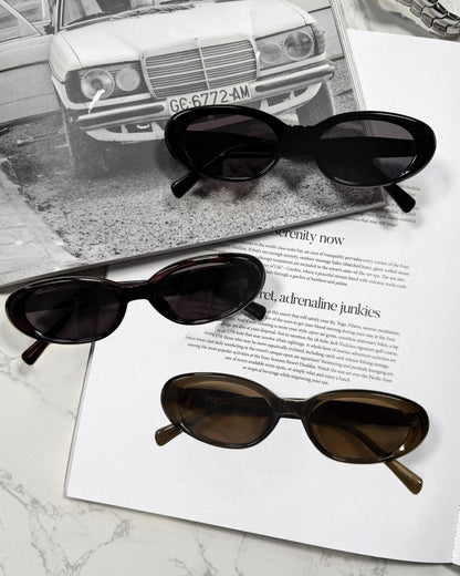 Acetate frame 【ROY】